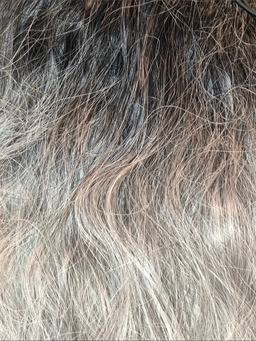 Wavy Clip-In Hair Extension in Silver Ash Blonde